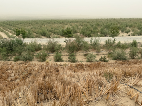 教育将在学生教师业界专家共同形成的圈层中自然生发恣意生长